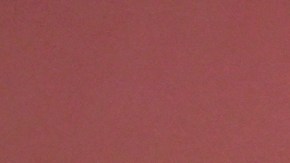 Amal Clooney confesó que tiene una cesta para dejar los celulares antes de entrar a su casa.