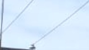 Bomberos rescataron de entre los escombros a siete personas.