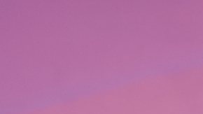 Caramelo, ganador de La Casa de los Famosos All-Stars.