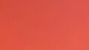 Carolina Sandoval, presentadora venezolana de televisión.