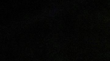 Julio Cesar Chávez Jr.