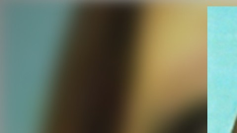 La última vez que vieron a Cindy Rodríguez Singh fue en 2023 cuando tomó un vuelo con su familia rubo a India.