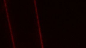 Kylian Mbappé y Hakimi asisten a concierto de Bad Bunny en Puerto Rico.