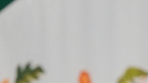 Presidente de México, Claudia Sheinbaum, critica a Javier 'Chicharito' Hernández.