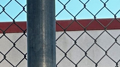 Hispano estuvo bajo custodia de ICE y terminó dos semanas en coma: perdió medio pulmón
