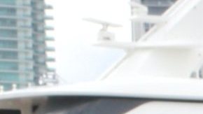 Dayanara Torres estuvo en El Gordo y la Flaca y contó lo especial que era su mascota.