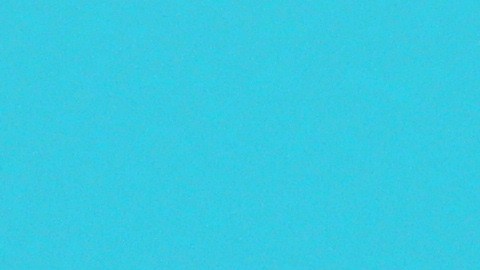 Para celebrar el Día de las Alitas de pollo, cadenas de comida rápida y restaurantes ofrecen ofertas.