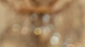 Donald Trump confirmó este martes la formalización de un nuevo acuerdo comercial con Japón.