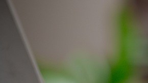 Donald Trump desea que EE.UU. se mantenga como el centro más importante para el desarrollo de IA en el mundo.