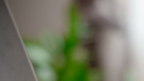 Donald Trump desea que EE.UU. se mantenga como el centro más importante para el desarrollo de IA en el mundo.