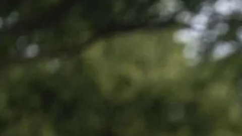 Donald Trump informó que el acuerdo comercial con Indonesia ayudará a reducir el déficit comercial con este país.