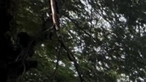 El mercado inmobiliario en EE.UU. está desacelerado y con altas tasas para compradores que desean tramitar un crédito.