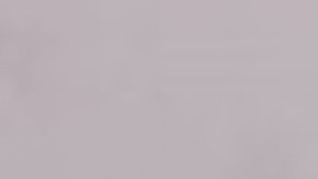 Afeni Badu Muhammad se encuentra detenida en la Cárcel del Condado de Macomb.