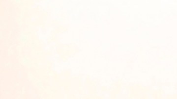 El caso Epstein ha estado en el centro de la política estadounidense en los últimos meses.