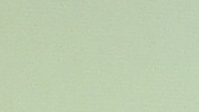 Florinda Meza, actriz mexicana.