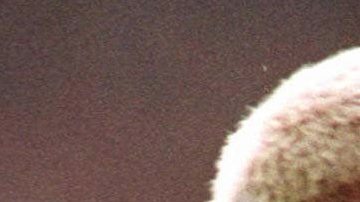 Paul Gascoigne durante la Euro de 1996.