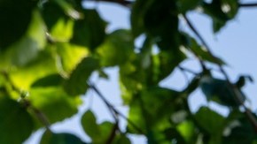 Google está en busca de fuentes abundantes de energía con un flujo constante.