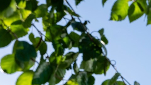 Google está en busca de fuentes abundantes de energía con un flujo constante.