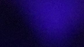 Hulk Hogan durante un mitin político de Donald Trump.