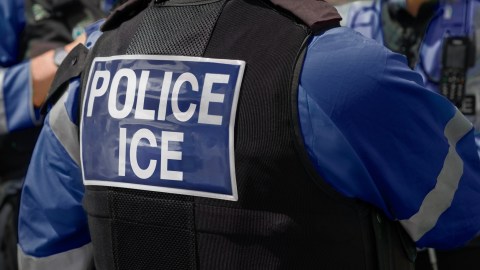 Hispana es arrestada por ICE tras pasear a su perra en playa de Florida