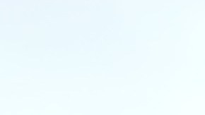 La comunidad quisqueyana participa en el Desfile de El Bronx.