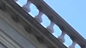 Líderes electos y de agrupaciones sindicales celebraron al frente del Concejo Municipal esta victoria.