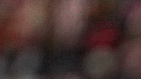 Juan Carlos Osorio descarta problemas en el Tri de 2018.