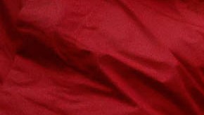 Antonio Mohamed quiere ser triunfando con el Toluca.