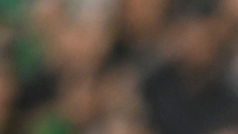 Edson Álvarez confía en ganar la Copa Oro ante EE.UU.