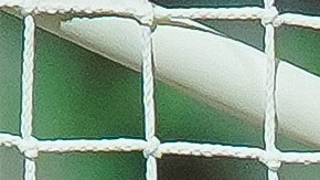 Pumas de la UNAM sale en defensa de Rodrigo Parra tras su debut.