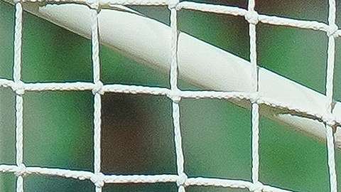 Pumas de la UNAM sale en defensa de Rodrigo Parra tras su debut.