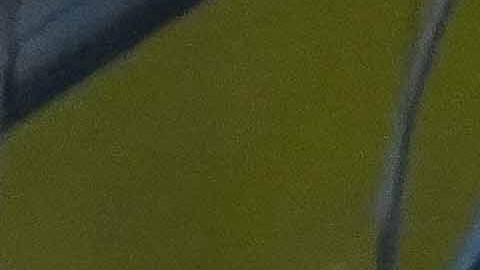 Luis Malagón espera mejorar el rumbo del Club América en el Apertura 2025.