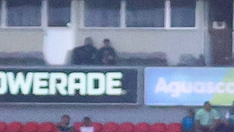 Gallos Blancos esperan poder mejorar su nivel con nueva directiva.