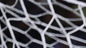 Igor Lichnovsky resalta las habilidades de Santiago Giménez.