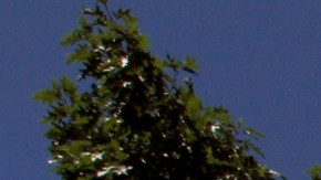 Intel se encuentra en medio de una importante reestructura con la intención de recuperar su posición en el mercado tecnológico.