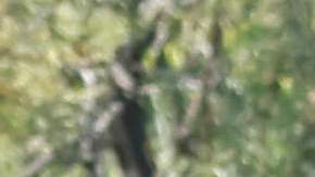 Jeff Bezos y Lauren Sánchez visitaron algunos de los lugares más populares de la Riviera Francesa.