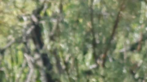 Jeff Bezos y Lauren Sánchez visitaron algunos de los lugares más populares de la Riviera Francesa.