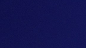 Josh Allen se casó en mayo de este año.