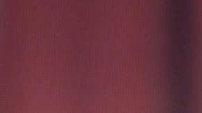 Karina Banda, presentadora mexicana de televisión.