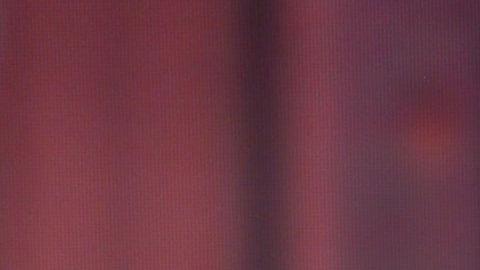 Karina Banda, presentadora mexicana de televisión.