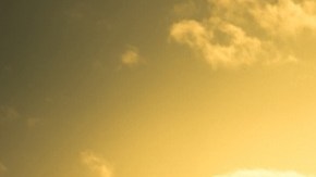 La agricultura es un sector fuertemente afectado por la política anti migrantes de Donald Trump.