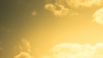 La agricultura es un sector fuertemente afectado por la política anti migrantes de Donald Trump.