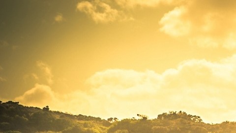 La agricultura es un sector fuertemente afectado por la política anti migrantes de Donald Trump.