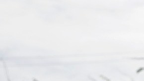 La eliminación de USAID podría influir en la muerte adicional de 14 millones de personas a 2030.