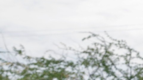 La eliminación de USAID podría influir en la muerte adicional de 14 millones de personas a 2030.