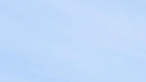 La industria automotriz de Canadá está sufriendo gran incertidumbre causada por la política arancelaria de Donald Trump.