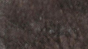 La venta de Cybertrucks en el mundo ha sido decepcionante respecto a las estimaciones hechas por Tesla.