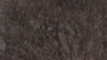 La venta de Cybertrucks en el mundo ha sido decepcionante respecto a las estimaciones hechas por Tesla.