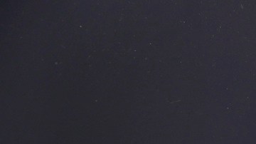 Los Beneficios SNAP son un salvavidas de miles de familias que tienen problemas para satisfacer sus necesidades alimentarias.