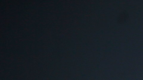 Malcolm-Jamal Warner tenía 54 años.